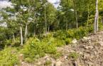 Land/Lot
