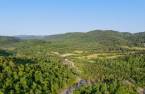 Land/Lot