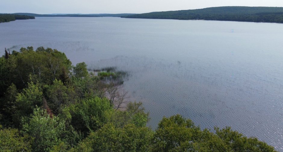 Vue sur l'eau