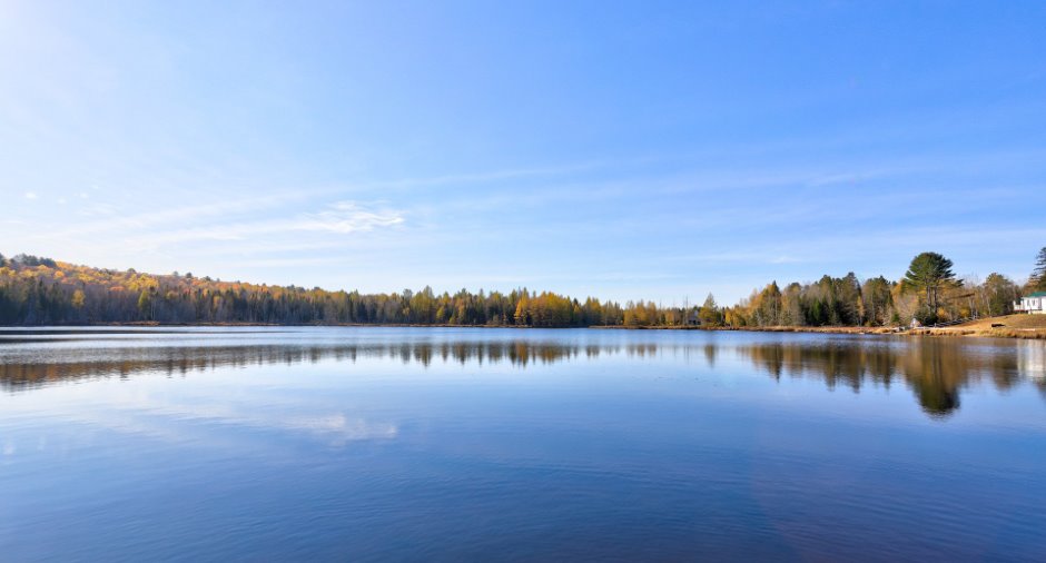 Bord de l'eau