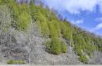 Land/Lot