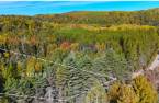 Land/Lot