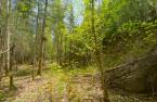 Land/Lot