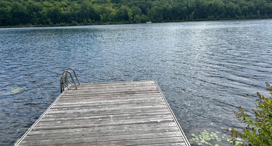 Bord de l'eau