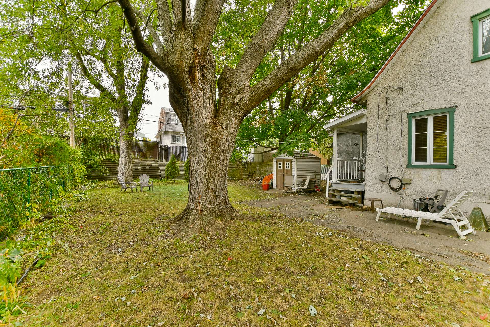 Backyard