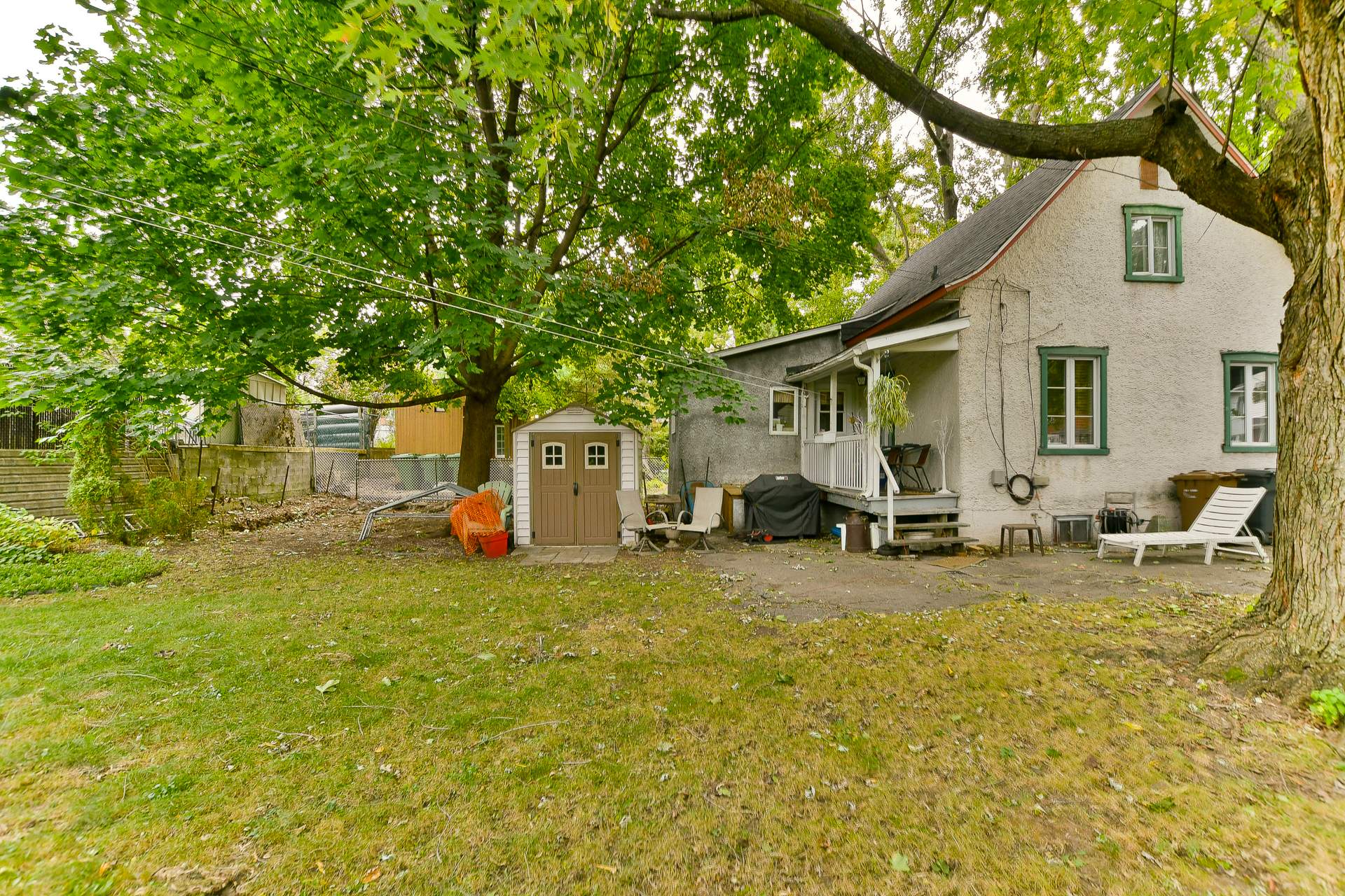 Backyard