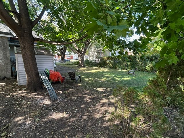 Backyard