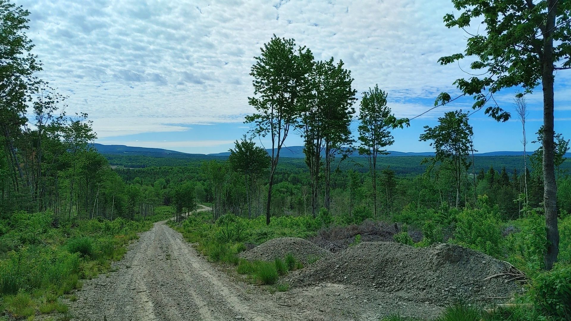Terrain vacant Rue Principale E., SainteEuphémiesurRivièreduSud