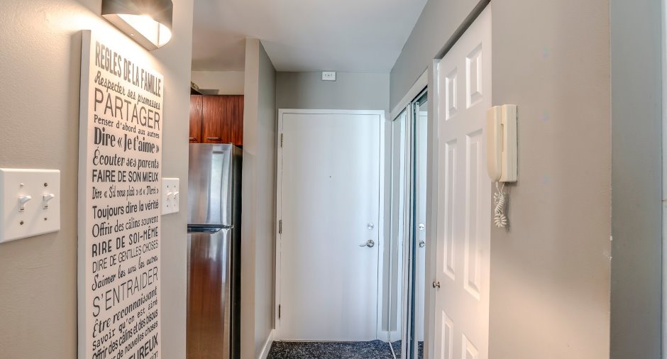 Hall d’entrée/Vestibule