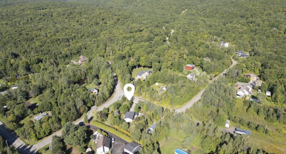 Overall View