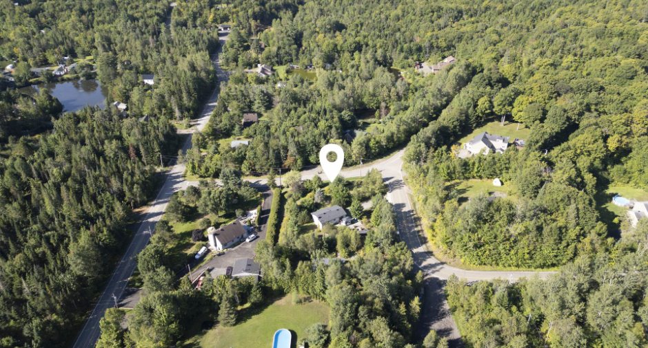 Overall View