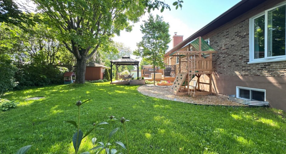 Cour