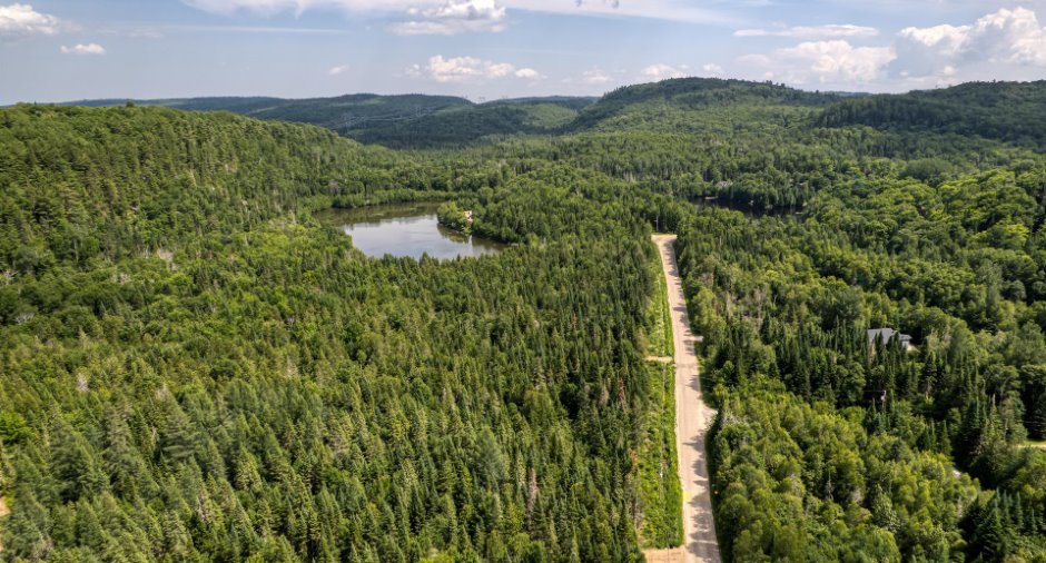 Aerial photo