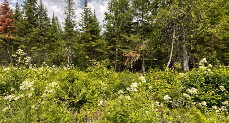 Land/Lot