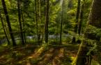 Terre/Terrain