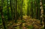 Terre/Terrain