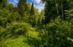 Terre/Terrain