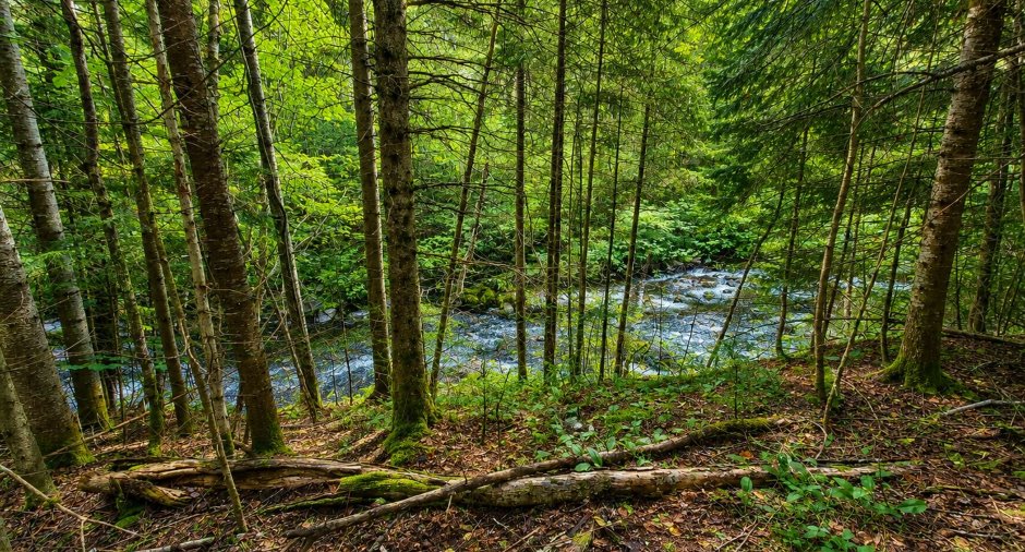 Accès au plan d'eau