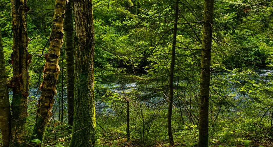 Accès au plan d'eau