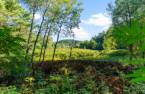 Terre/Terrain