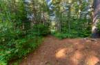Terre/Terrain