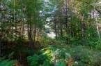 Terre/Terrain