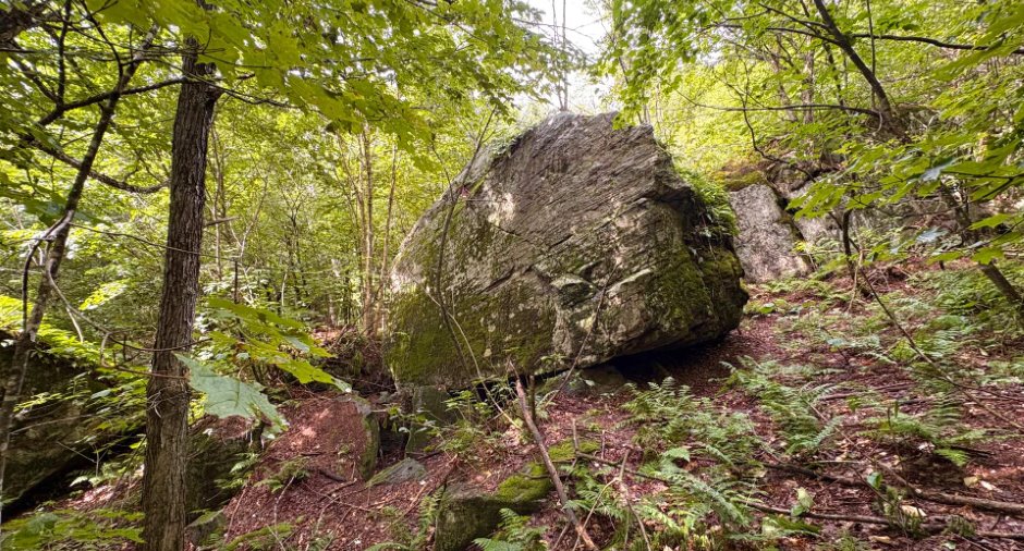 Terre/Terrain