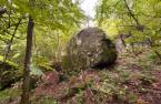 Terre/Terrain