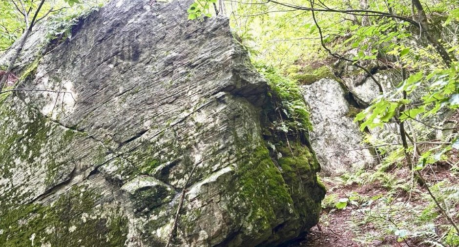 Terre/Terrain