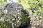 Terre/Terrain