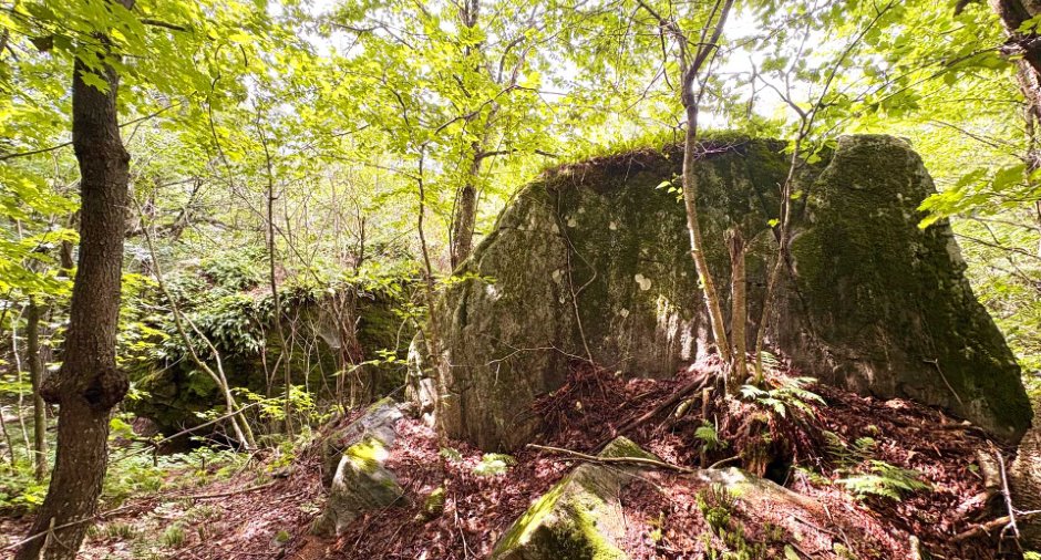Terre/Terrain