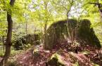 Terre/Terrain