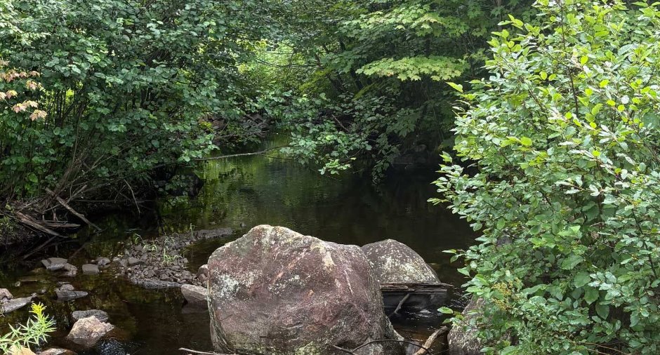 Bord de l'eau