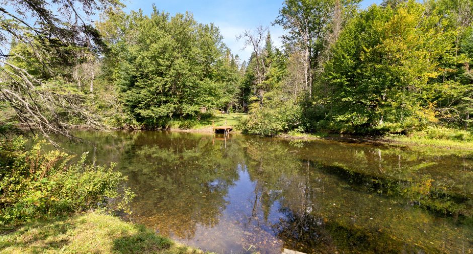 Bord de l'eau