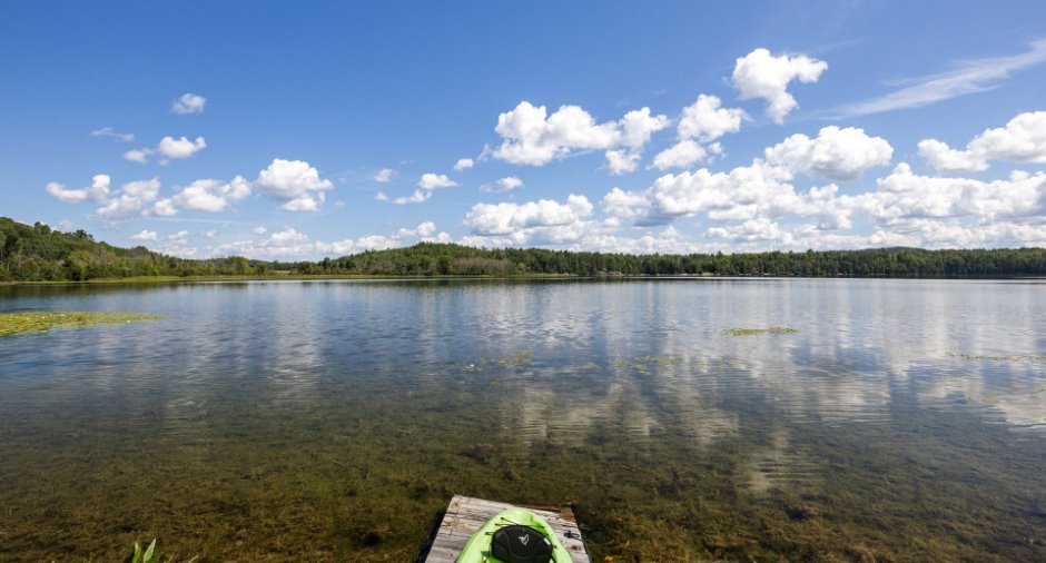 Bord de l'eau