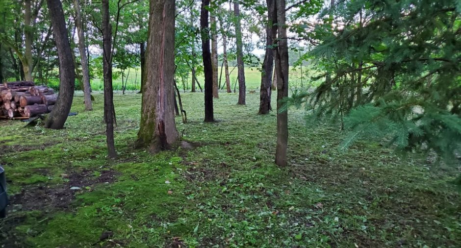 Land/Lot