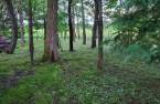 Land/Lot