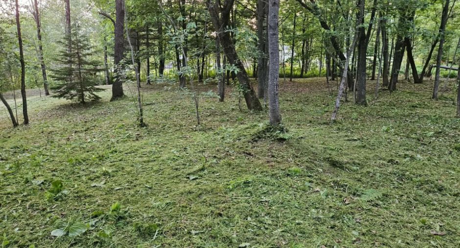 Land/Lot