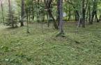 Land/Lot