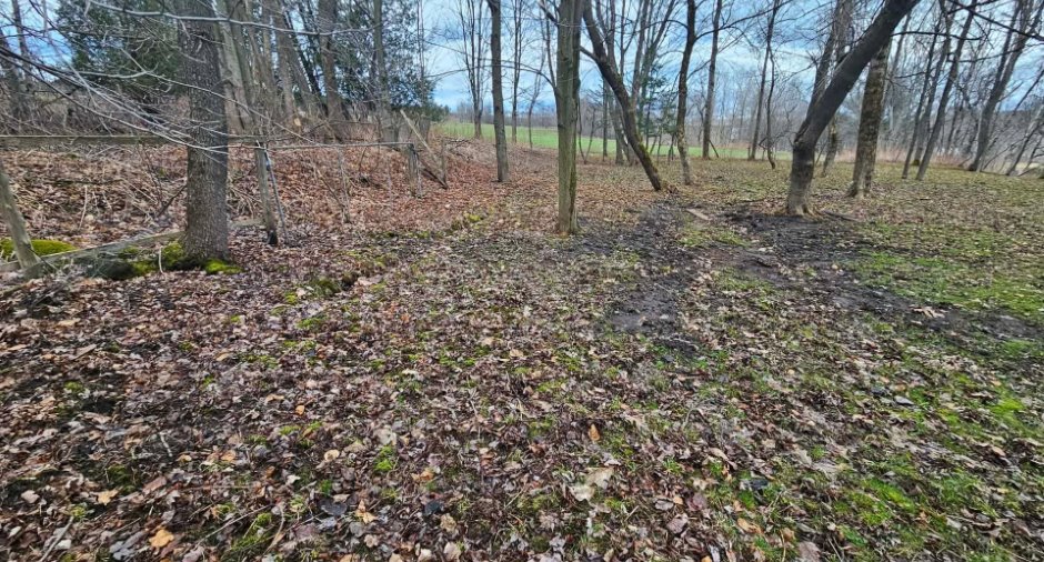 Land/Lot