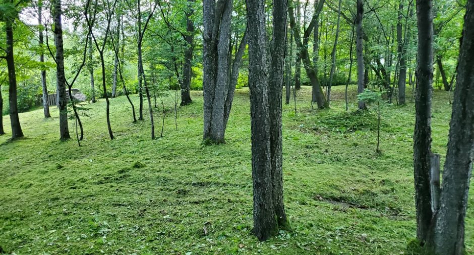 Land/Lot