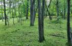 Land/Lot
