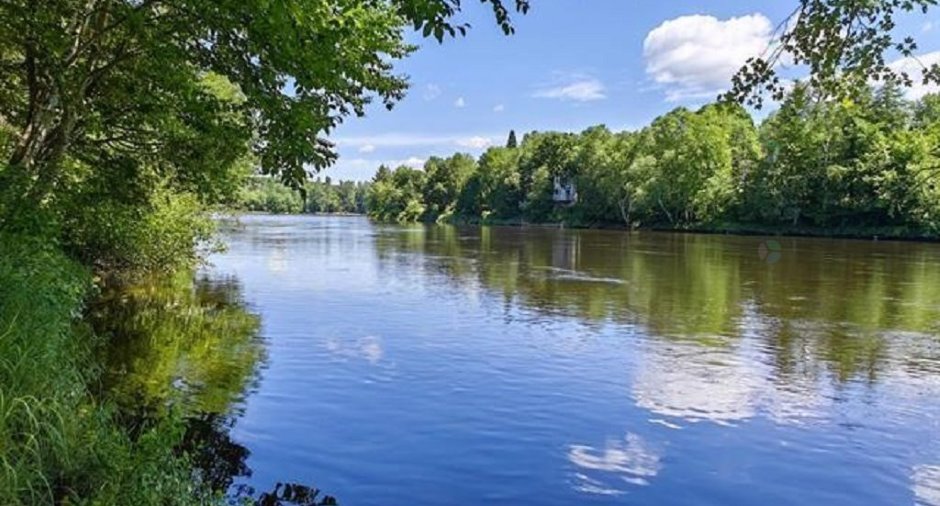 Bord de l'eau