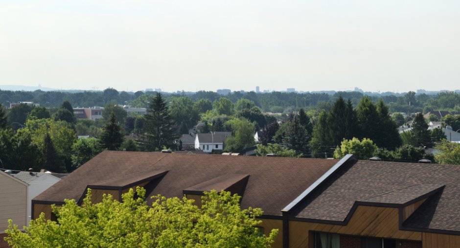 Vue