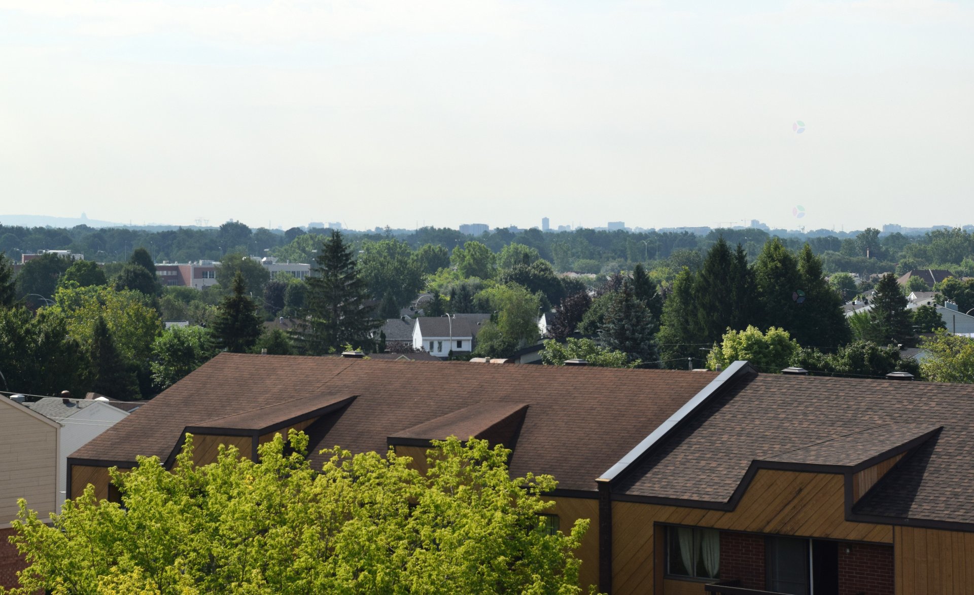 Vue
