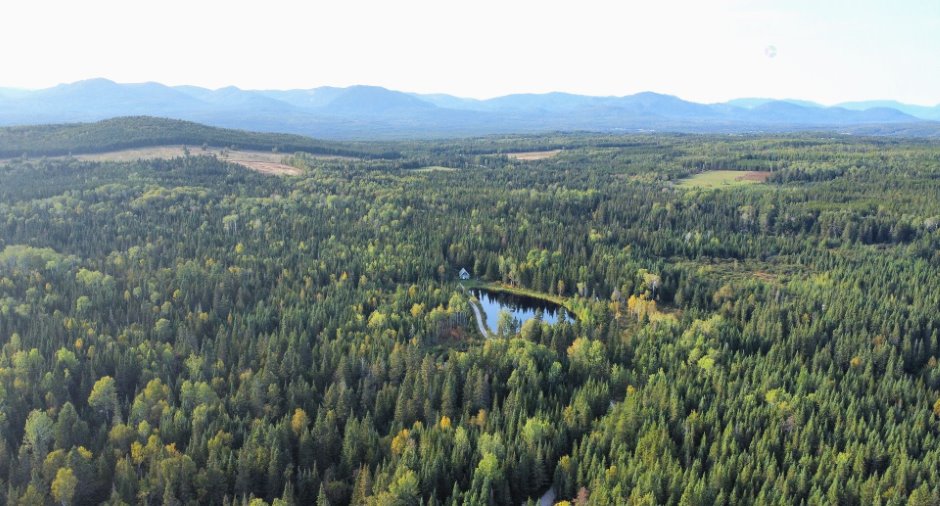 Aerial photo