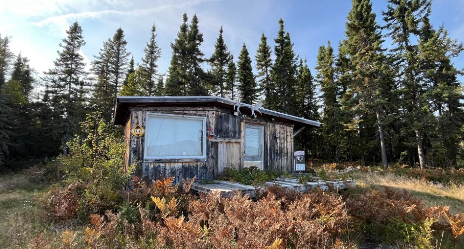 Shed