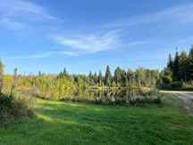 Terrain à vendre à Saint-Hilarion — 1Z, 6e Rang (photo 37)