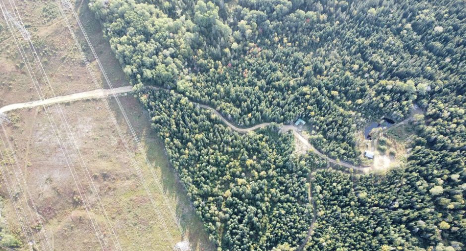 Overall View