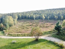 Terrain à vendre à Saint-Hilarion — 1Z, 6e Rang (photo 45)